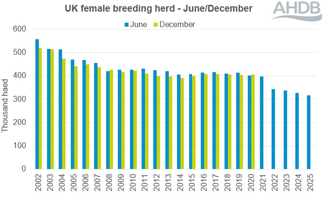 UK female breeding herd bar chart to 2025. 